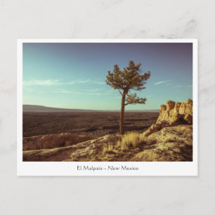 El Malpais National Monument Briefkaart