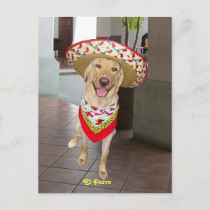 El Perro Briefkaart