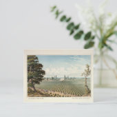 El Pinal Vineyard, San Joaquin County Briefkaart (Staand voorkant)