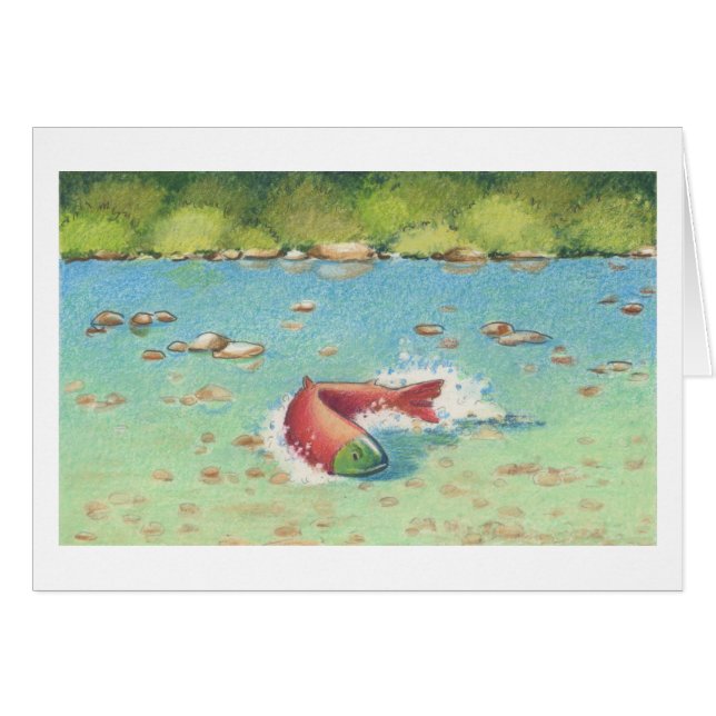 El Salmon (Voorkant Horizontaal)