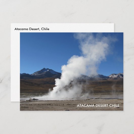El Tatio Geyser, Désert d'Atacama, Carte postale C (Devant / Derrière)