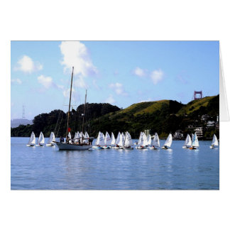 El Toro Race San Francisco Bay