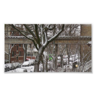 El Tracks Foto Afdruk