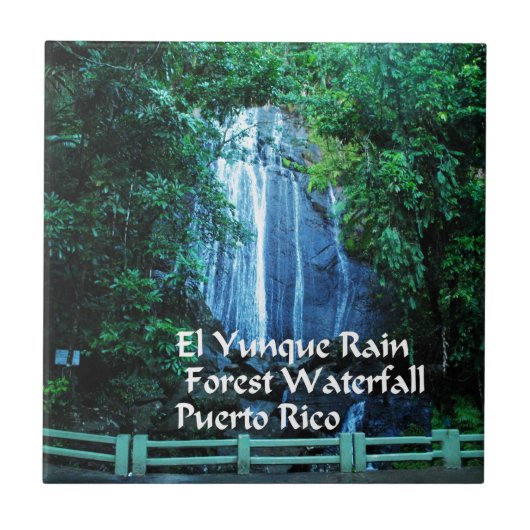 El Yunieke regenwoud Tegeltje (Voorkant)