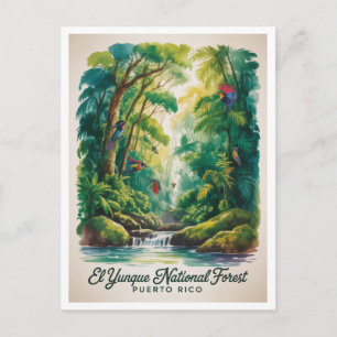 El Yunque Nationaal Bos Puerto Rico Briefkaart