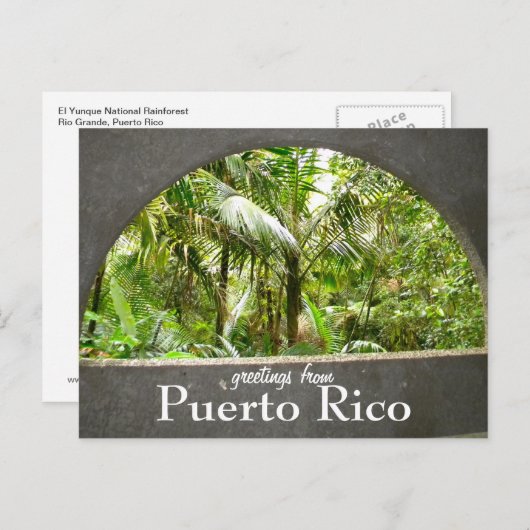El Yunque, Puerto Rico Briefkaart (Voorkant / Achterkant)