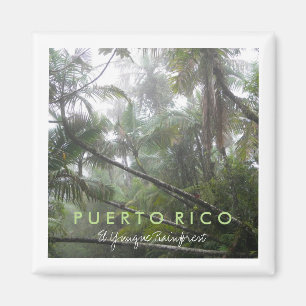 El Yunque, Puerto Rico Magneet