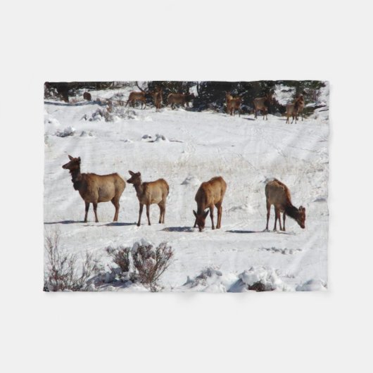 Élan dans couverture en laine polaire (Devant (Horizontal))
