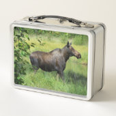 Eland (Achterkant)
