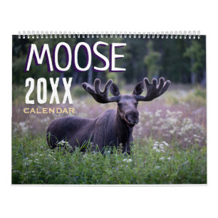 Eland 2027 Wilde Dieren Muur Kalender