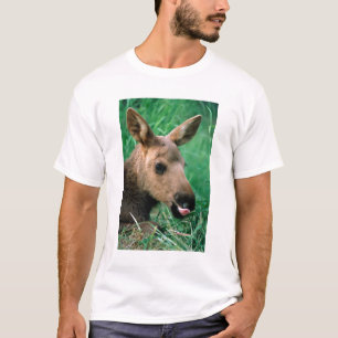 eland, Alces alces, kalf liggend in gras, Kenai T-shirt