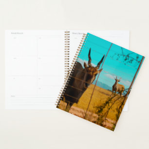Eland Antelope Animal Zuid-Afrika ZA Planner