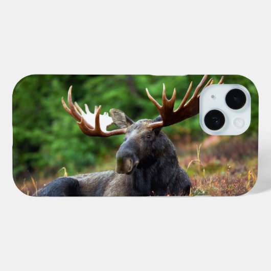 Eland Case-Mate iPhone Case (Achterkant (horizontaal))