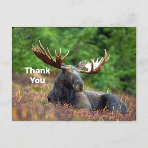 Eland Dankjewellanskaart Briefkaart
