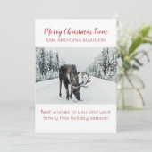 Eland In Sneeuw Natuurkaart Kerstkaart (Staand voorkant)