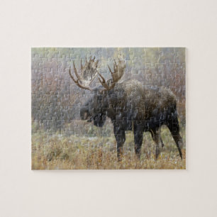 Eland in sneeuwstorm met espbomen legpuzzel