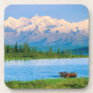 Eland in Wonder Lake Bier Onderzetter
