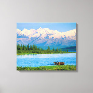 Eland in Wonder Lake Canvas Afdruk