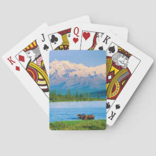 Eland in Wonder Lake Pokerkaarten