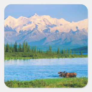 Eland in Wonder Lake Vierkante Sticker