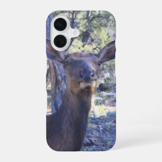 Eland iPhone 16 Hoesje