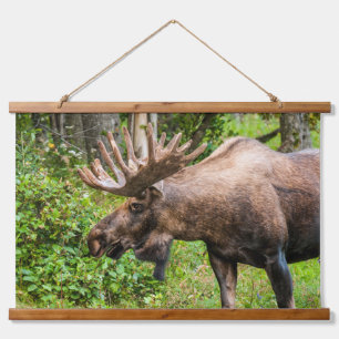Eland Kenai-schiereiland, Alaska Hangend Wandkleed