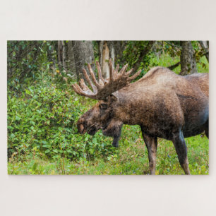 Eland Kenai-schiereiland, Alaska Legpuzzel