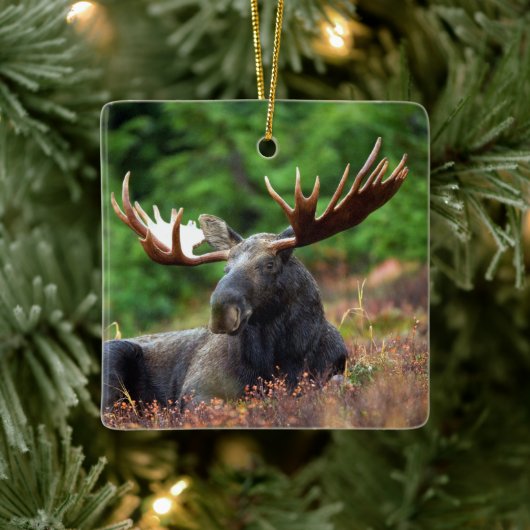 Eland Keramisch Ornament (Boom)