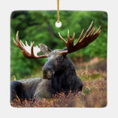 Eland Keramisch Ornament (Achterkant)