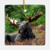 Eland Keramisch Ornament (Voorkant)