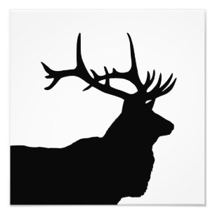 Eland Kop Silhouet Foto Afdruk