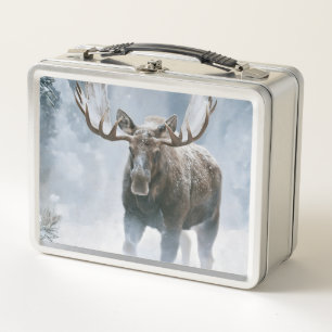 Eland loopt door boreale sneeuw