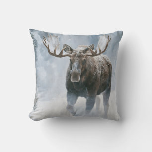 Eland loopt door boreale sneeuw kussen