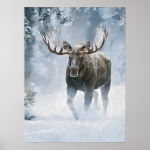 Eland loopt door boreale sneeuw poster