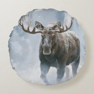 Eland loopt door boreale sneeuw rond kussen
