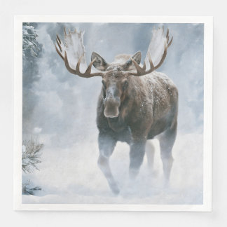 Eland loopt door boreale sneeuw servet