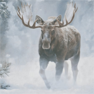 Eland loopt door boreale sneeuw sticker