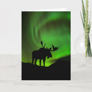 Eland met groene Aurora Borealis, Alaska Kaart