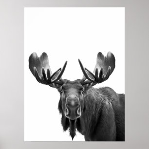 Eland Modern Portret zwart wit Poster