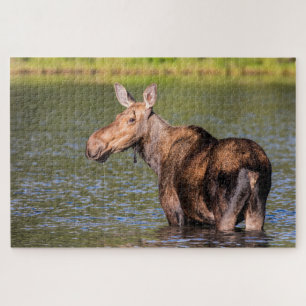 Eland voederen in Glacier National Park, Montana Legpuzzel