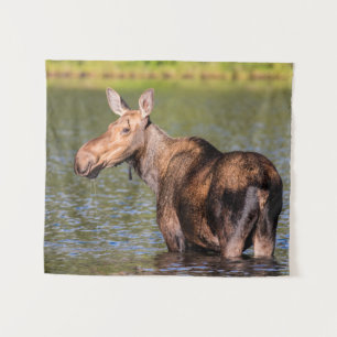 Eland voederen in Glacier National Park, Montana Wandkleed