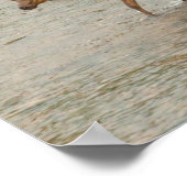Elanden die de Colorado rivier oversteken Poster (Hoek)