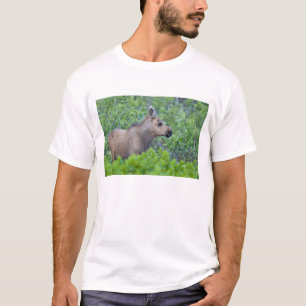 Elandkalf in de Many Glacier-vallei T-shirt