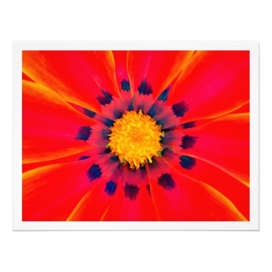 Élargissement de la photo (Devant)