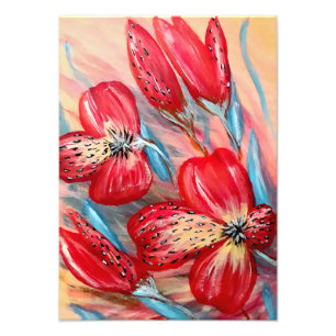 Élargissement de la photo