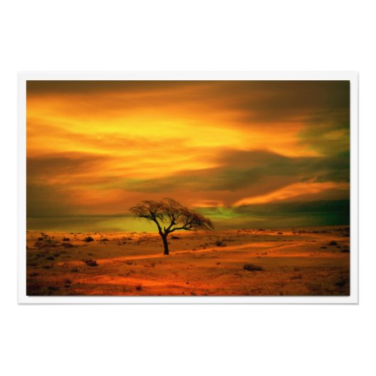 Élargissement de la photo (Devant)