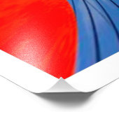 Élargissement de la photo (Coin)