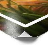 Élargissement de la photo (Coin)