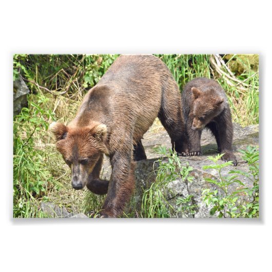 Élargissement de la photo (Devant)