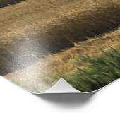 Élargissement de la photo de récolte de blé Kansas (Coin)